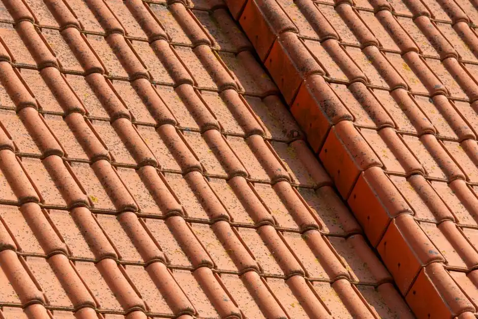 Detailed view of terracotta roof tiles showcasing texture and pattern, ideal for architectural designs.